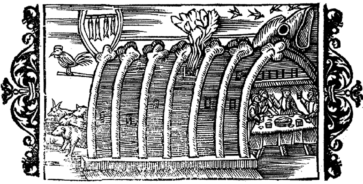 whalebone